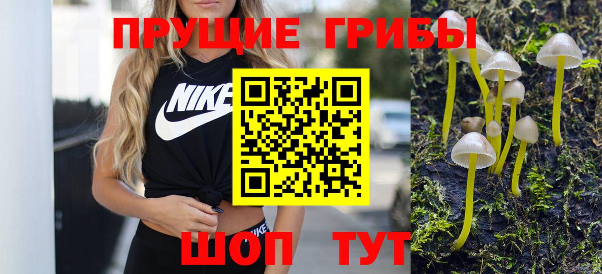 Ирбит  Галлюциногенные грибы мухоморы  Вход с VPN 