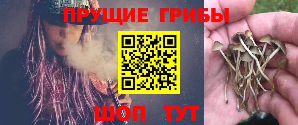 Галлюциногенные грибы мухоморы Ирбит
